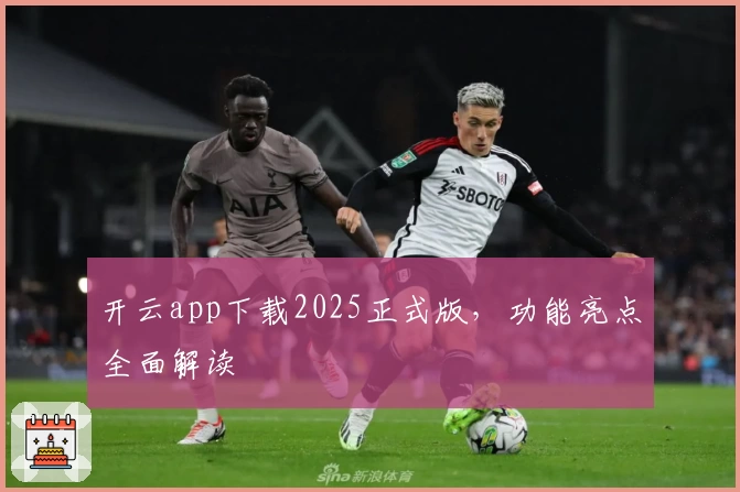 开云app下载2025正式版，功能亮点全面解读