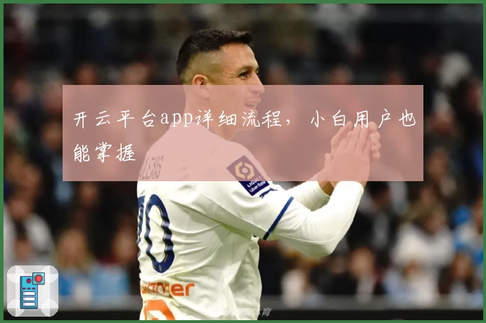 开云平台app详细流程,小白用户也能掌握