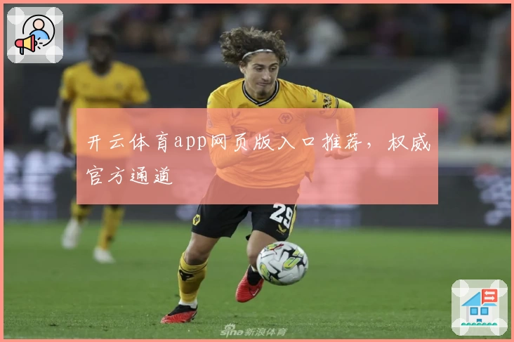 开云体育app网页版入口推荐，权威官方通道