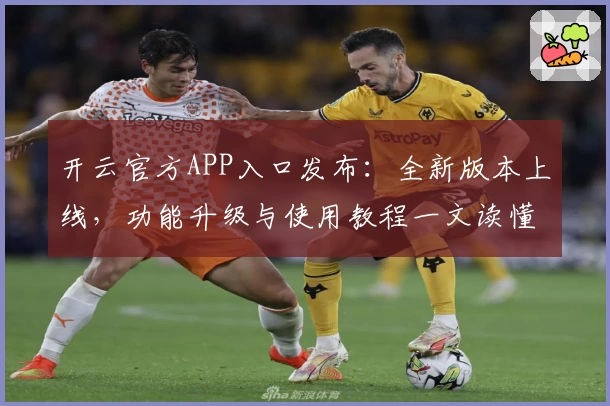 开云官方APP入口发布：全新版本上线，功能升级与使用教程一文读懂